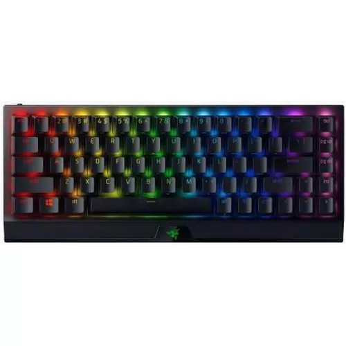 купить Клавиатура Razer RZ03-03890700-R3R1 Mechanical BlackWidow V3 Mini - RU Layout в Кишинёве 