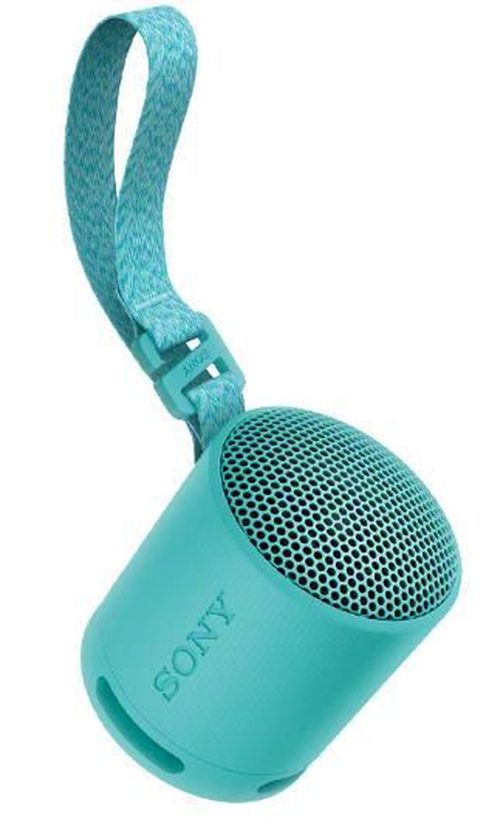 купить Колонка портативная Bluetooth Sony SRSXB100L в Кишинёве 