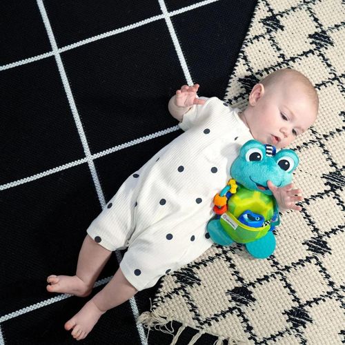 cumpără Jucărie de pluș Baby Einstein 13156 Ocean Explorers Neptune în Chișinău 