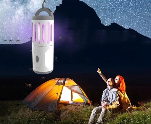 cumpără Aparat anti-insecte Platinet PMKL60 în Chișinău 