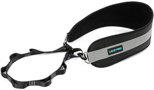 cumpără Bandaj sport LivePro LP8098/BK Centura Fitness cu lant Dip Belt în Chișinău 