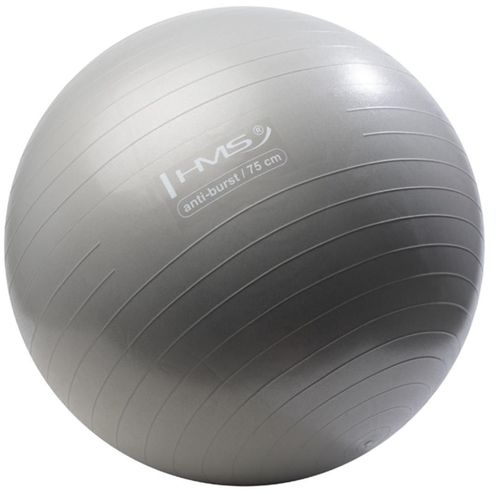 купить Мяч HMS 9477 Minge gimnastica d=75cm cu pompa Gray YB02 (17-42-179) в Кишинёве 