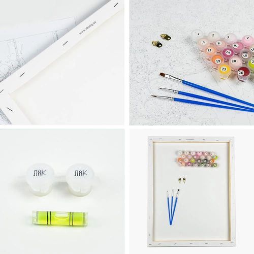 cumpără Tablou pe numere Strateg VA 0899 Лев царь зверей în Chișinău 