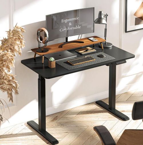 купить Офисный стол Lumi S12-22R-B Electric Single-Motor Sit-Stand Desk в Кишинёве 