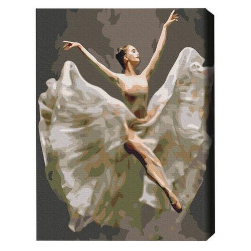 cumpără Tablou pe numere BrushMe BS34356FC 40x50cm (fără cutie) Balerină în zbor în Chișinău 