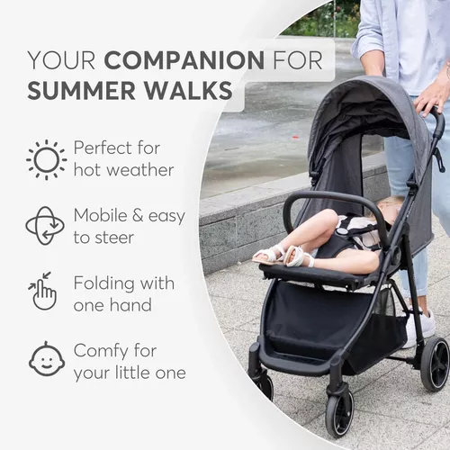 купить Детская коляска Kikka Boo 31001030182 Alexa Peach в Кишинёве 