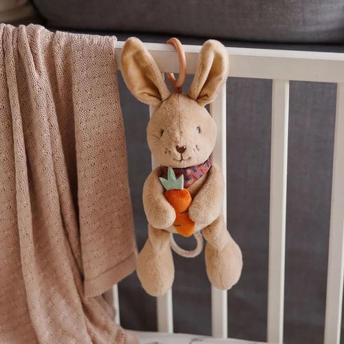 cumpără Jucărie cu pandantiv BabyOno 1686 Jucarie muzicala Rabbit Karo în Chișinău 
