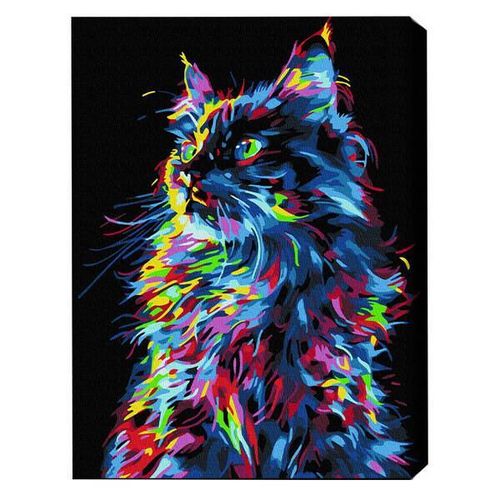 cumpără Tablou pe numere BrushMe BSB0021FC 40x50сm (pânză neagră/fără cutie) Pisica magică în Chișinău 