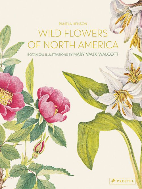 купить Wild Flowers of North America Botanical Illustrations в Кишинёве 