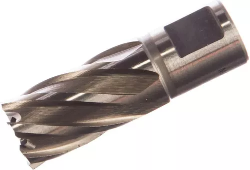 купить Набор головок, бит, насадок Milwaukee 4932343276 фреза кольцевая HSS Ø20x30мм в Кишинёве 