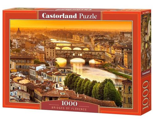 купить Головоломка Castorland Puzzle C-104826 Puzzle 1000 elemente в Кишинёве 