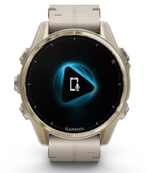 купить Смарт часы Garmin Fenix 8 – 43 mm, Sapphire, Soft Gold Stainless Steel with Fog Gray Leather Band, Fog Gray (010-02903-40) в Кишинёве 