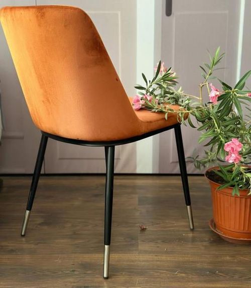 cumpără Scaun Signal Jill velvet în Chișinău 