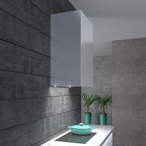 купить Вытяжка Falmec ALTAIR 60 E.P. Stainless Steel (with filter pack) в Кишинёве 