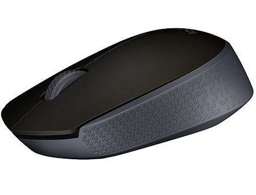 купить Logitech M171 Wireless Mouse Black, USB, 910-004424 (mouse fara fir/беспроводная мышь) www в Кишинёве 