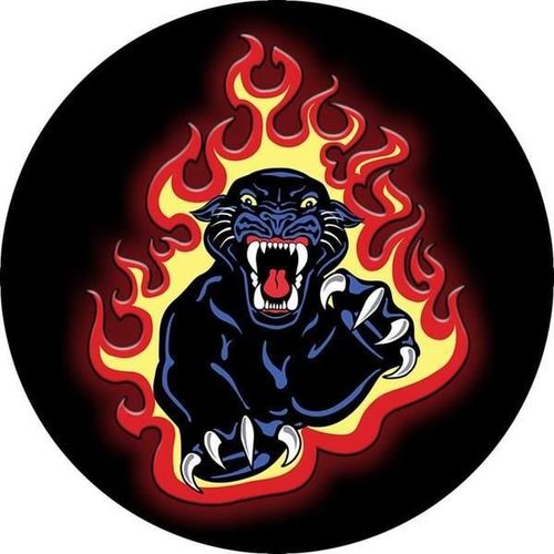 купить Аксессуар для моб. устройства PopSockets PANTHER FLAMES original 800033 в Кишинёве 