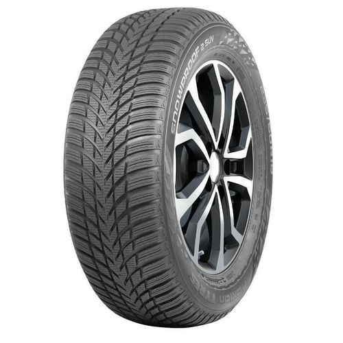 купить Шина Nokian 295/40 R21 Snowproof 2 Suv 111V XL в Кишинёве 