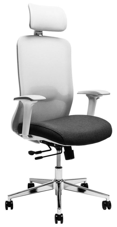 купить Офисное кресло CUSTÓ Roma, gri в Кишинёве 