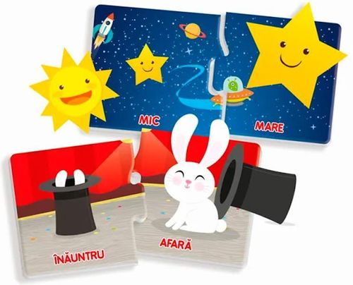 cumpără Puzzle Agerino 1024-50841 Agerino Jocul opozitiilor în Chișinău 