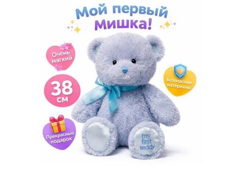 cumpără Jucărie de pluș Baby Gund 6055514 My 1st Teddy Blue 38cm în Chișinău 
