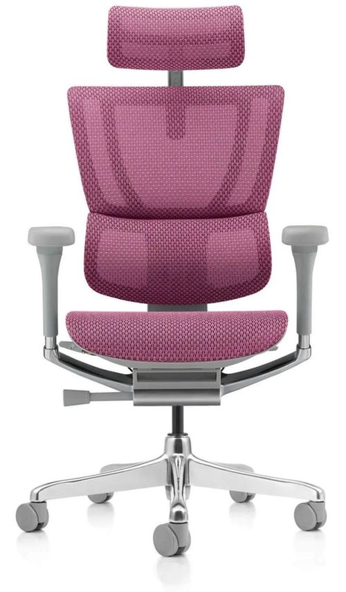 купить Офисное кресло ART Mirus IOO Elite 2 Pink T-168-B5 IOOE2-AG-HAM-5D-L в Кишинёве 