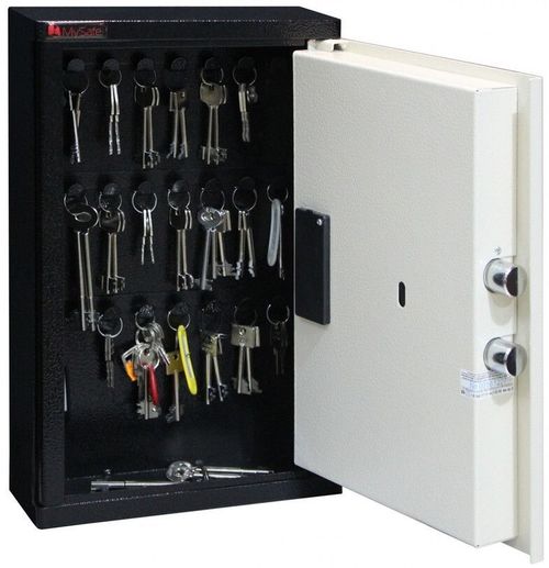 купить Кэшбокс Griffon MSK.40.E.Cream, box pentru 24 chei (400x260x100), art.03.048 в Кишинёве 