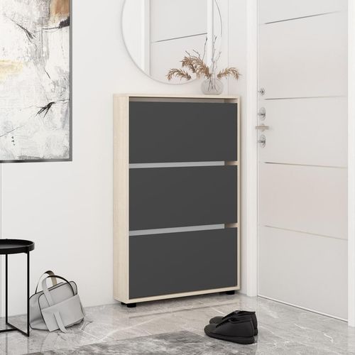 cumpără Raft pentru încălțăminte Mobildor-Lux Leo Slim 60x16x125H cm Sonoma/Anthracite în Chișinău 