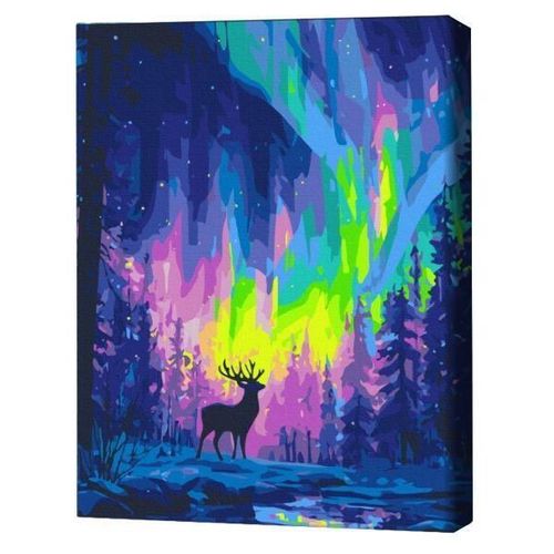 купить Картина по номерам BrushMe BS54493FC 40x50cm (fără cutie) Aurora polară в Кишинёве 