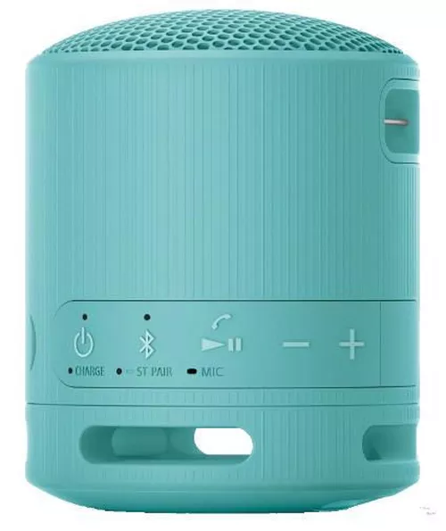 купить Колонка портативная Bluetooth Sony SRSXB100L в Кишинёве 