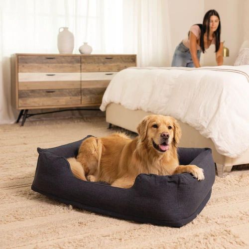 cumpără Pat pentru câini și pisici Intex (48702) Pat gonflabil pentru animale de companie, 97x74x23cm, max.22.7kg în Chișinău 