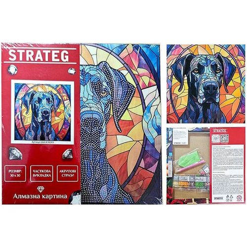 cumpără Tablou pe numere Strateg 57338 Pictura cu diamant 30x30cm Privire neagra în Chișinău 