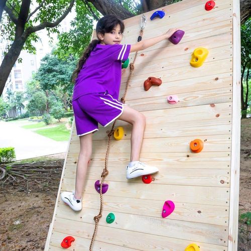 cumpără Accesoriu pentru teren de joacă PlayPark 5614 Set 5 piese pentru perete Alpinism dintr-o piatră artificială în Chișinău 