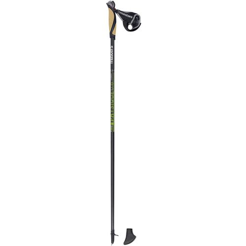 cumpără Bețe pentru trekking Masters NW PHYSIQUE 0.6 Carbon 115cm (01N0219 115) în Chișinău 