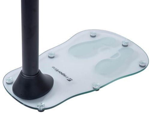 купить Виброплатформа inSPORTline 13386 Aparat Vibromasaj IN30081 TrimBelt в Кишинёве 