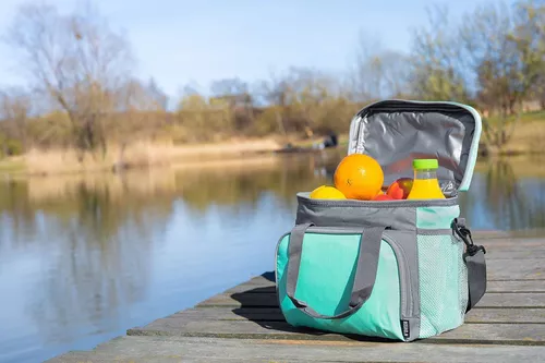 купить Сумка холодильник Noveen LBB520 Thermal Bag в Кишинёве 