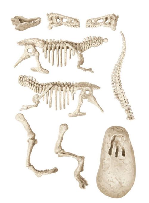 cumpără Joc educativ de masă Clementoni 1026-50908 Descopera Dinozaurul T-Rex în Chișinău 