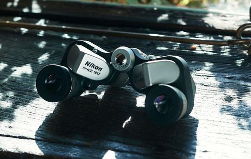 купить Бинокль Nikon 6x15M CF Silver в Кишинёве 