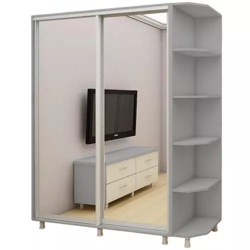 cumpără Dulap Bafimob Standard Шкаф купе ДY-100 în Chișinău 