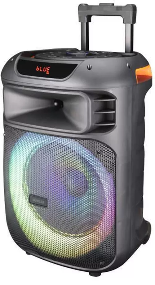 купить Аудио гига-система Muhler MAX333XR в Кишинёве 