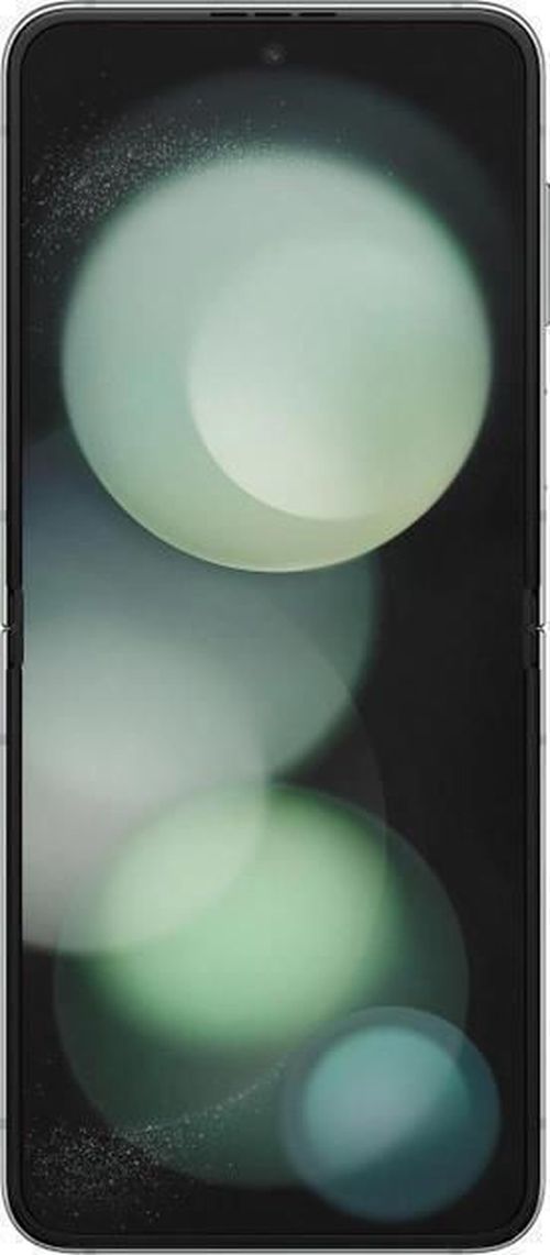 cumpără Smartphone Samsung F731B/256 Galaxy Flip5 Light Green în Chișinău 