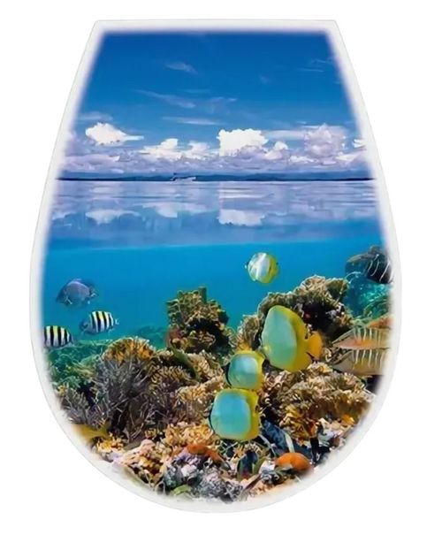 cumpără Capac WC Bisk 04154 LILIA (foto Ocean) în Chișinău 