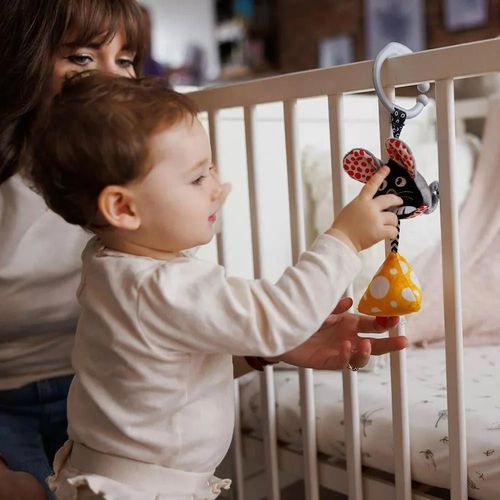 cumpără Jucărie cu pandantiv BabyOno 1676 Jucarie agatata MOUSE în Chișinău 