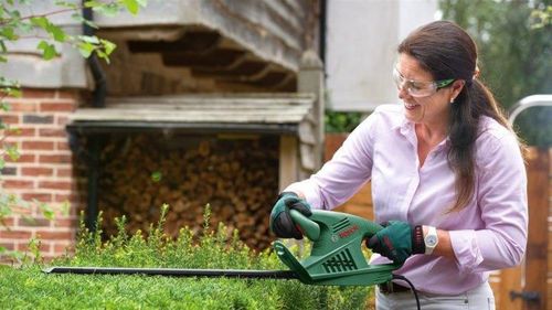 cumpără Foarfece pentru arbuști Bosch EasyHedgeCut 0600847A05 în Chișinău 