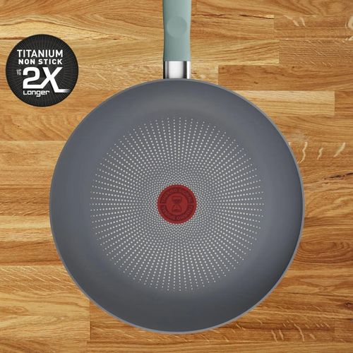 купить Сковорода Tefal G0160202 Halo Eucalyptus 20cm в Кишинёве 