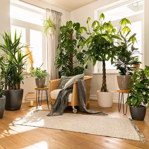 купить Цветочный горшок Lechuza Classico Premium 43 LS, White в Кишинёве 