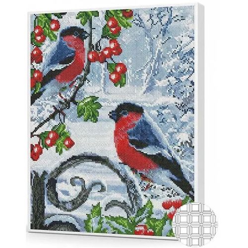 cumpără Tablou pe numere Art Gallery QB205169 Mozaic cu diamante patrate 40x50cm Pitigoi si scorus în Chișinău 