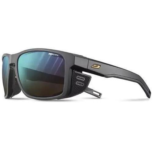 купить Защитные очки Julbo SHIELD NOIR MAT RV P2-4 DL BL в Кишинёве 