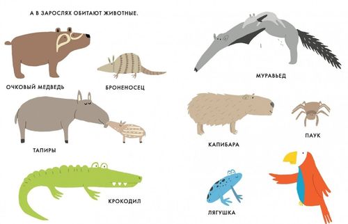 купить Экокнигa: Мои маленькие джунгли в Кишинёве 