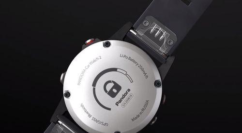 cumpără Ceas inteligent Pandora Глонасс-GPS Watch 2 în Chișinău 