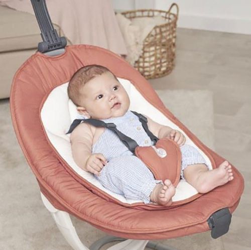 купить Детское кресло-качалка Babymoov A055018 Leagan Swoon Motion Terracotta в Кишинёве 